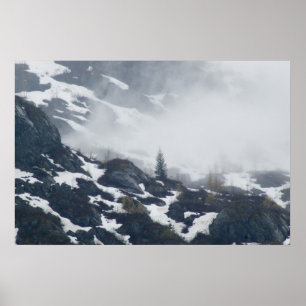 A Tree in the Mist Poster