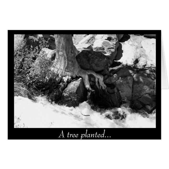 A Tree Planted... (Front Horizontal)
