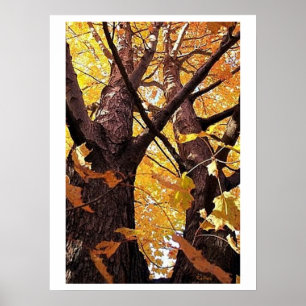 A Tree Trunks View Poster