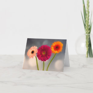 A Trio of Gerberas Folded Greeting Card