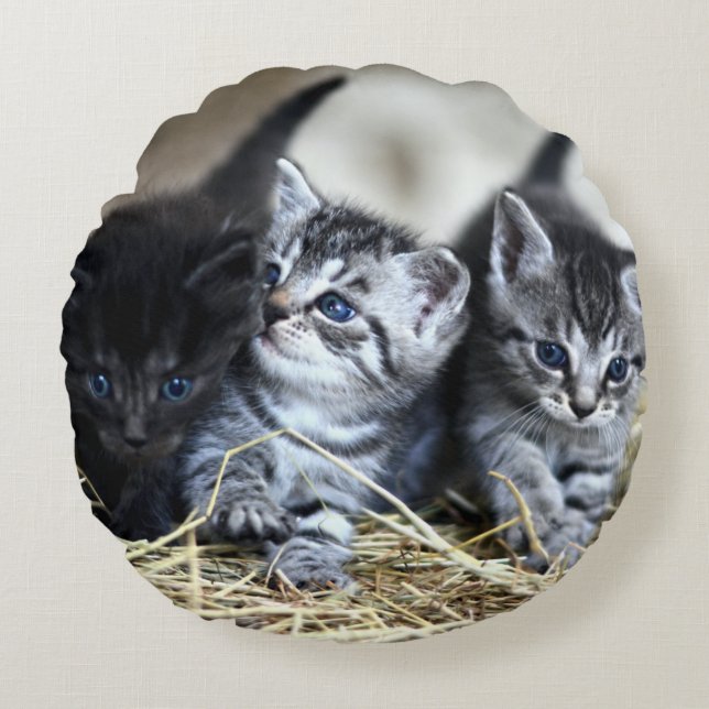 A Trio of Kittens Nesseled Together Round Cushion (Front)