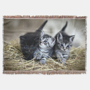 A Trio of Kittens Nesseled Together Throw Blanket