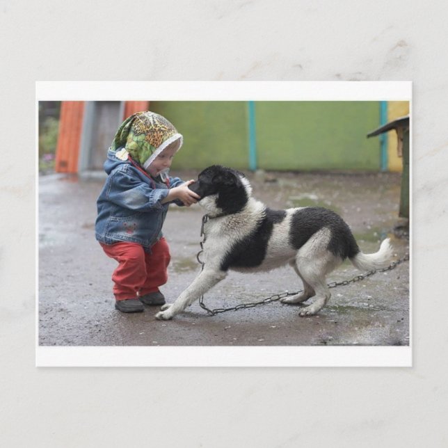 A Troll Has My Nose Postcard (Front)