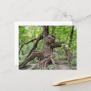 A Troll in the Forest Postcard