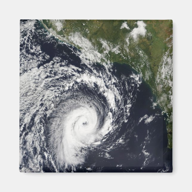 A tropical cyclone magnet (Front)