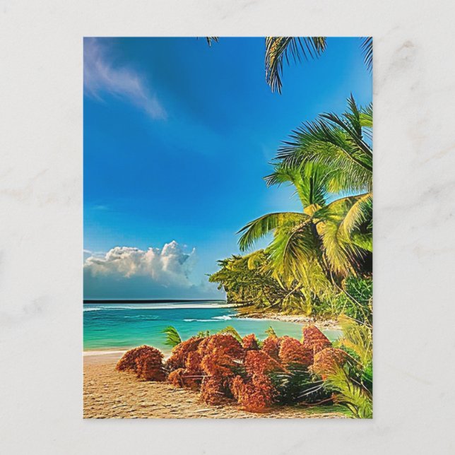 A tropical paradise.   postcard (Front)