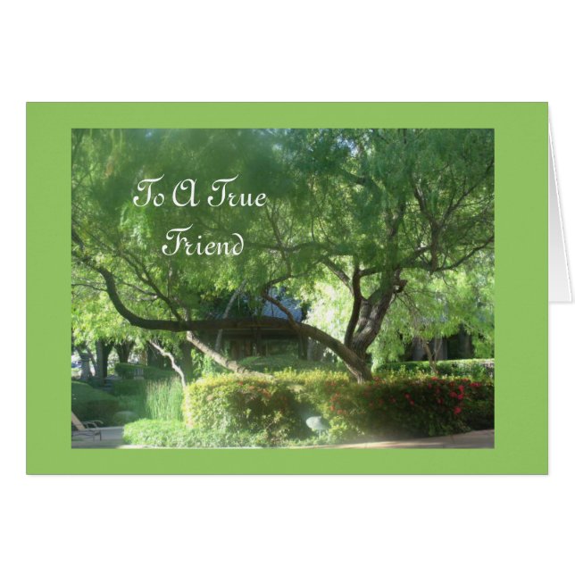 A True Friend (Front Horizontal)