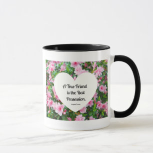 A true friend is the best possession. mug