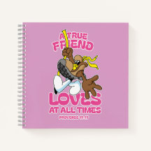 A True Friend Loves At All Times