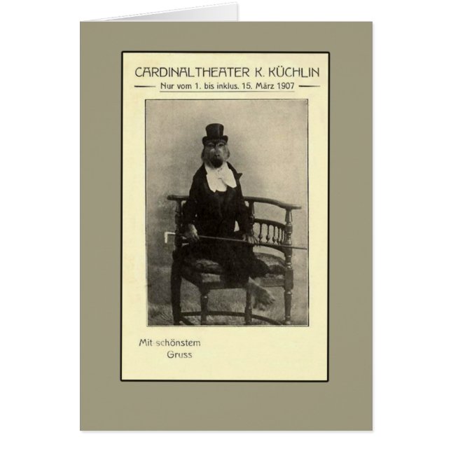 A True Oddity - A Monkey in a Suit (Front)