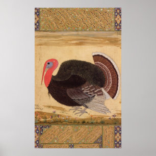 A turkey-cock, brought to Jahangir Poster