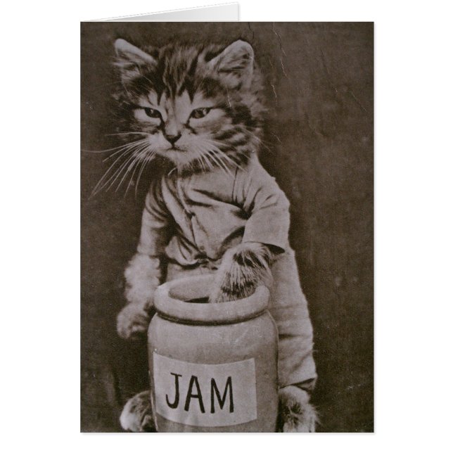 a twist on oliver (Front)