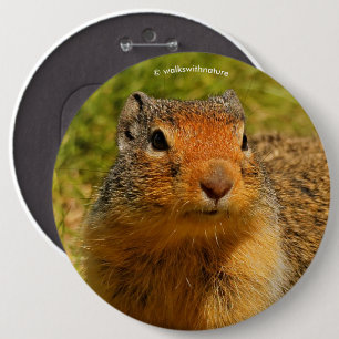 A Twitchy-Nosed Columbian Ground Squirrel 6 Cm Round Badge