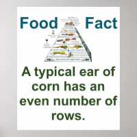 A Typical Ear Of Corn - Food Fact