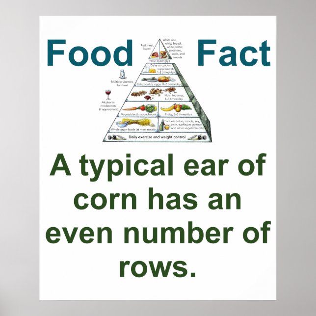 A Typical Ear Of Corn - Food Fact Poster (Front)