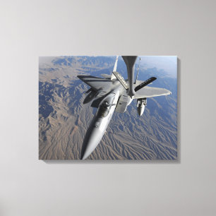 A US Air Force F-15 Eagle Canvas Print