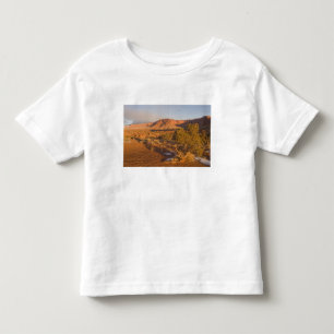 A Utah Juniper Juniperus osteosperma) tree in 2 Toddler T-Shirt