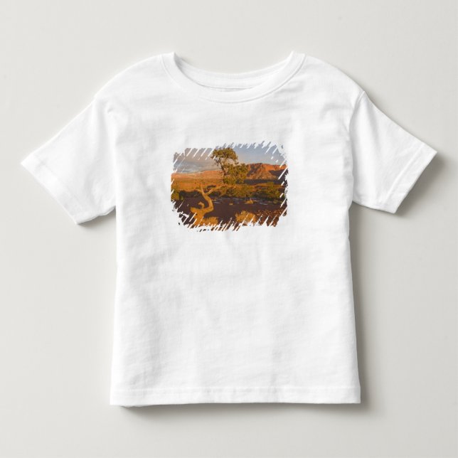 A Utah Juniper Juniperus osteosperma) tree in Toddler T-Shirt (Front)