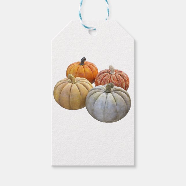 A Variety of Pumpkins Gift Tags (Front)