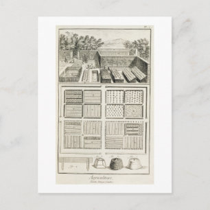 A vegetable garden, from 'The Encyclopaedia of Sci Postcard