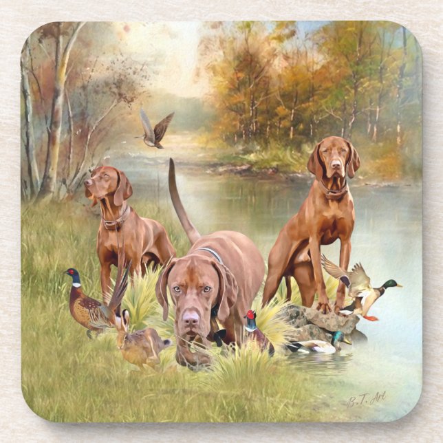 A versatile aristocrat in the Hungarian Vizsla Coaster (Front)
