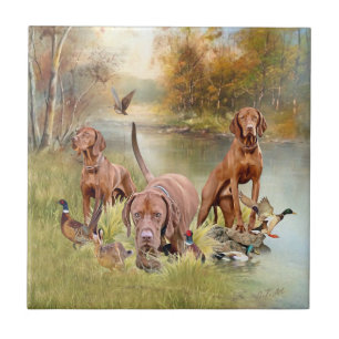 A versatile aristocrat in the Hungarian Vizsla Tile