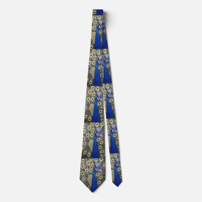A very beautiful Peacock tie (Front)