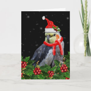 A Very Berry Christmas Card