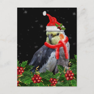 A Very Berry Christmas Card