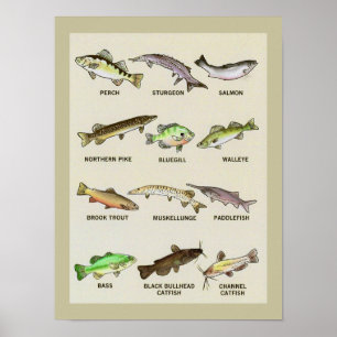 A Very Fishy Print