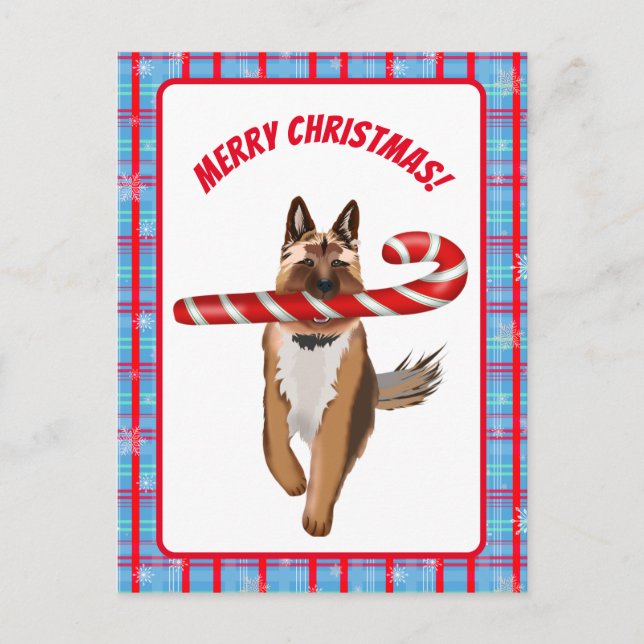 A Very German Shepherd Candy Cane Christmas Postcard (Front)
