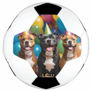 A Very Happy Staffy Birthday With Cake, Football