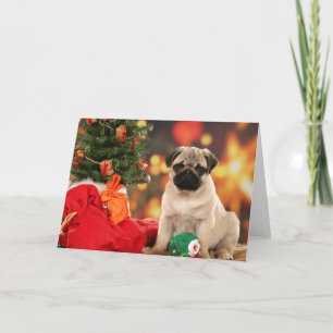 A very Merry Chinese Pug Christmas Holiday Card