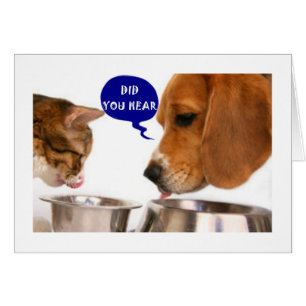 A VERY SPECIAL YOUNG WOMAN IS ***21***