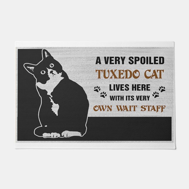 A Very Spoiled Tuxedo Cat Lives Here With Its Very Doormat (Front)