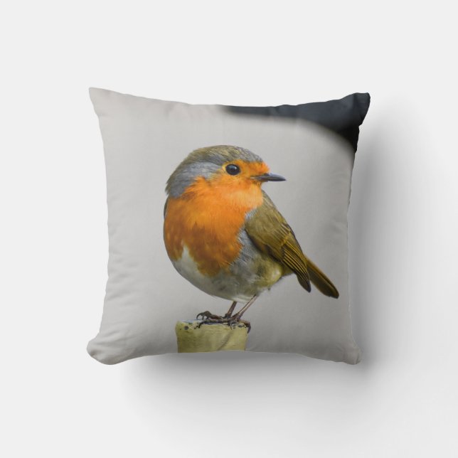 A Very Stunning Robin  Cushion (Front)
