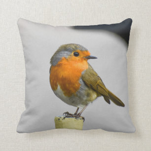 A Very Stunning Robin Cushion