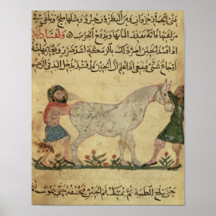 A veterinarian helping a mare to give birth poster