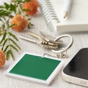 A vibrant green leaf with distinct veins is illumi key ring