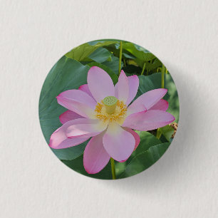 A vibrant lotus flower 3 cm round badge
