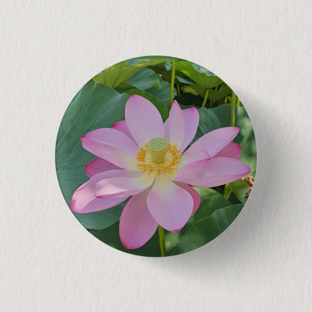 A vibrant lotus flower 3 cm round badge (Front)