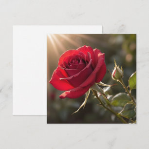 A vibrant red rose, symbolising love and passion invitation