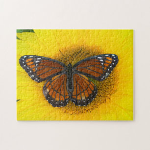 A Viceroy Butterfly Limenitis Archippus Jigsaw Puzzle