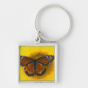 A Viceroy Butterfly   Limenitis Archippus Key Ring