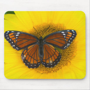 A Viceroy Butterfly Limenitis Archippus Mouse Mat