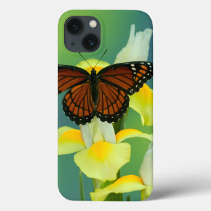 A Viceroy Butterfly on a Yellow Japanese Iris iPhone 13 Case