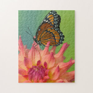A Viceroy Butterfly on a Zinnia Jigsaw Puzzle