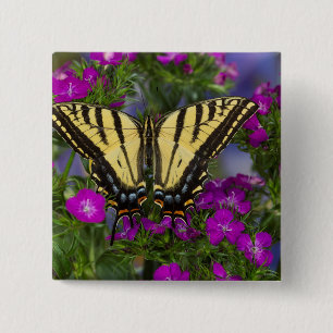 A Viceroy Butterfly on Dark Pink Flowers 15 Cm Square Badge