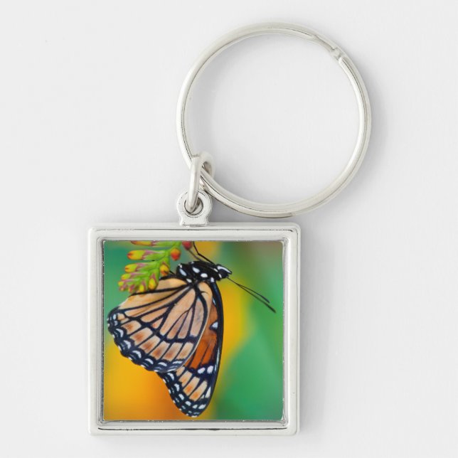 A Viceroy Butterfly on Flowers Key Ring (Front)