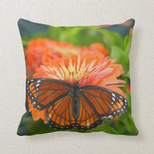 A Viceroy Butterfly on Orange Zinnias Cushion
